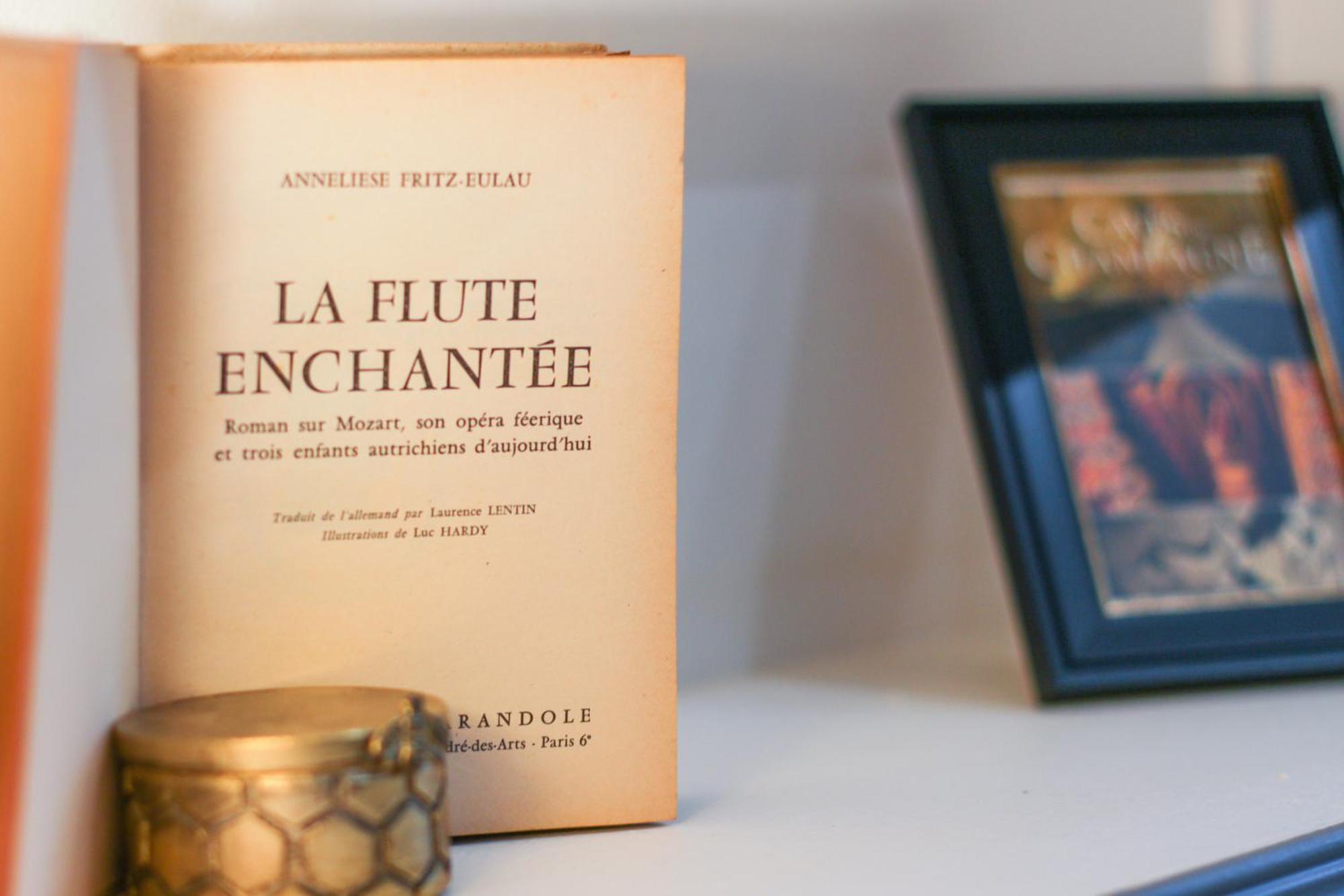 La Flute Enchantee Troyes Luaran gambar